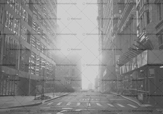 Curabitur ullamcorper